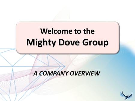 Welcome to the Mighty Dove Group A COMPANY OVERVIEW.