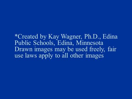 *Created by Kay Wagner, Ph.D., Edina Public Schools, Edina, Minnesota