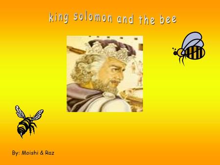By: Moishi & Raz Story 1 King Solomon is very wise king. He can talk with people and he can talk with animals. People come to the king for help. --------------