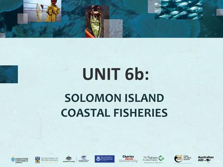 UNIT 6b: SOLOMON ISLAND COASTAL FISHERIES. 2 Coastal fisheries Activity 6.1: Assess prior knowledge by class discussion of their understanding of coastal.