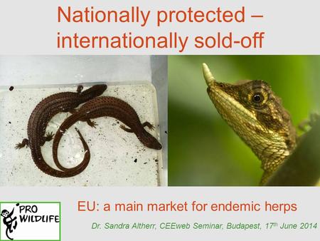 Nationally protected – internationally sold-off EU: a main market for endemic herps Dr. Sandra Altherr, CEEweb Seminar, Budapest, 17 th June 2014.