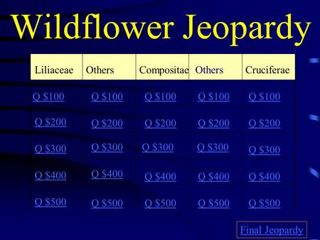 Wildflower Jeopardy LiliaceaeOthersCompositae Cruciferae Q $100 Q $200 Q $300 Q $400 Q $500 Q $100 Q $200 Q $300 Q $400 Q $500 Final Jeopardy Others.