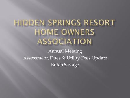 Annual Meeting Assessment, Dues & Utility Fees Update Butch Savage.