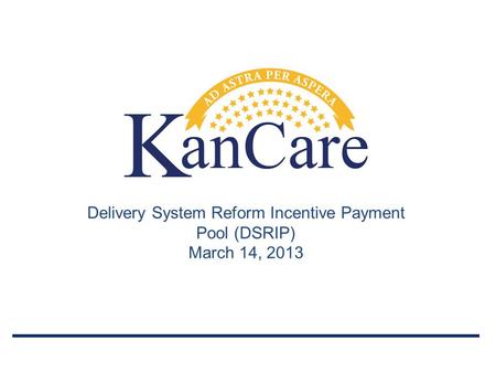 Delivery System Reform Incentive Payment Pool (DSRIP) March 14, 2013.