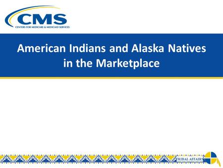 American Indians and Alaska Natives in the Marketplace