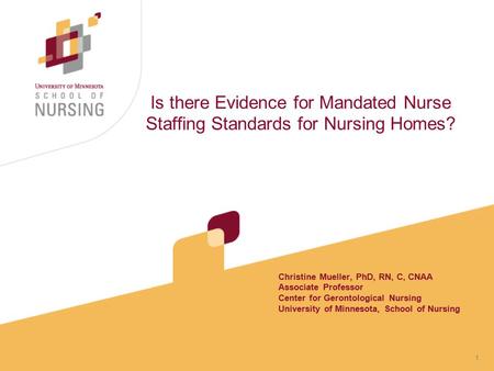 1 Is there Evidence for Mandated Nurse Staffing Standards for Nursing Homes? Christine Mueller, PhD, RN, C, CNAA Associate Professor Center for Gerontological.