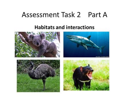 Assessment Task 2 Part A Habitats and interactions.