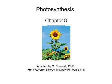 Photosynthesis Chapter 8 Adapted by G. Cornwall, Ph.D.