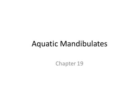 Aquatic Mandibulates Chapter 19.