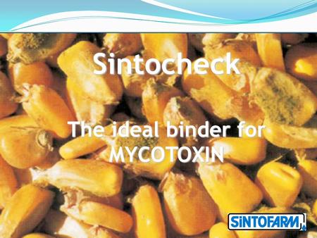The ideal binder for MYCOTOXIN