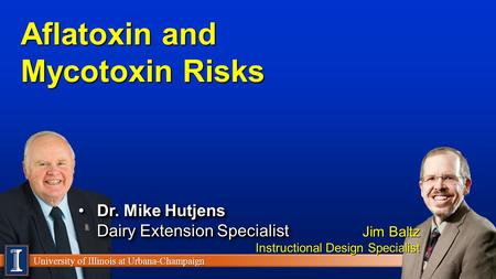 University of Illinois at Urbana-Champaign Aflatoxin and Mycotoxin Risks Dr. Mike Hutjens Dairy Extension SpecialistDr. Mike Hutjens Dairy Extension Specialist.