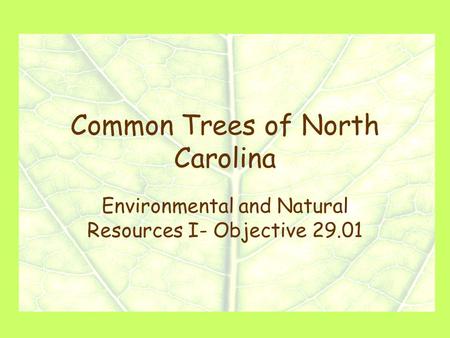 Common Trees of North Carolina Environmental and Natural Resources I- Objective 29.01.