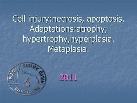 Cell injury:necrosis, apoptosis