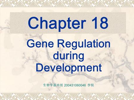 Chapter 18 Gene Regulation during Development 生物学基地班 200431060046 李锐.