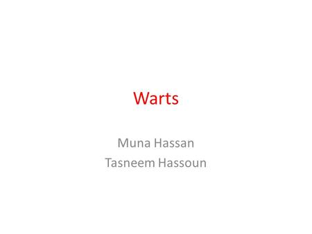 Muna Hassan Tasneem Hassoun