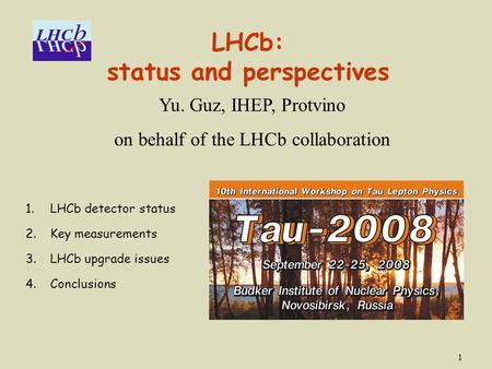 LHCb: status and perspectives