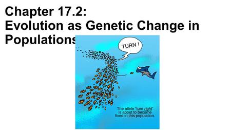 Chapter 17.2: Evolution as Genetic Change in Populations