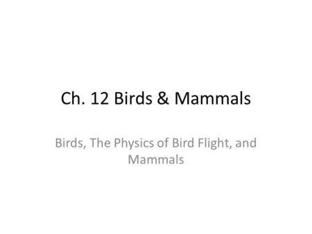 Birds, The Physics of Bird Flight, and Mammals