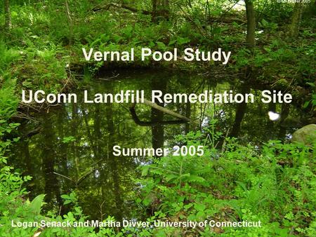 Vernal Pool Study UConn Landfill Remediation Site Summer 2005 Logan Senack and Martha Divver, University of Connecticut © M. Divver 2005.