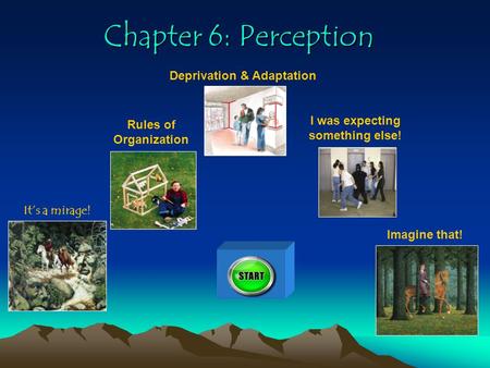 Chapter 6: Perception It’s a mirage! Rules of Organization Deprivation & Adaptation I was expecting something else! Imagine that! 100.