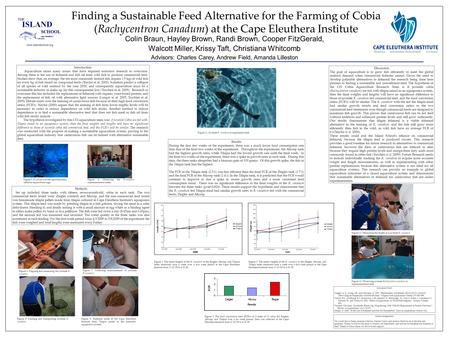 Finding a Sustainable Feed Alternative for the Farming of Cobia (Rachycentron Canadum) at the Cape Eleuthera Institute Introduction Aquaculture raises.