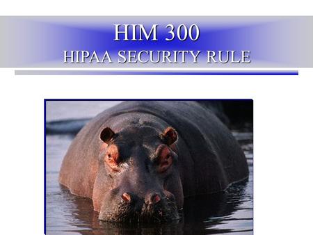 HIM 300 HIPAA SECURITY RULE. HIPAA Security Rule Agenda What is the HIPAA Security RuleWhat is the HIPAA Security Rule –Authority –Definition –Scope RequirementsRequirements.