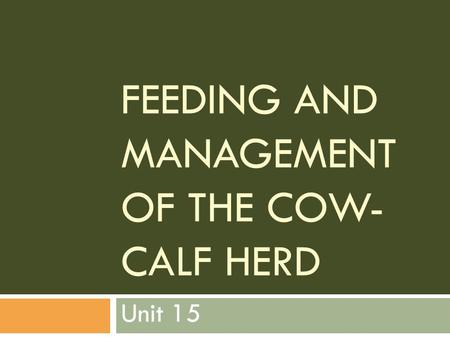 Feeding and Management of the Cow-Calf Herd