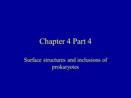 Surface structures and inclusions of prokaryotes