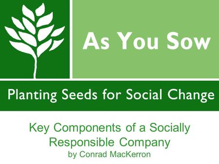 Key Components of a Socially Responsible Company by Conrad MacKerron.