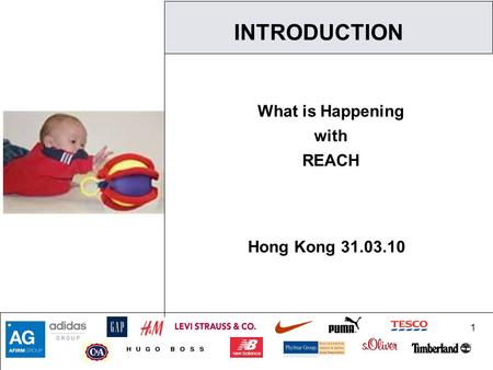 1 INTRODUCTION What is Happening with REACH Hong Kong 31.03.10.