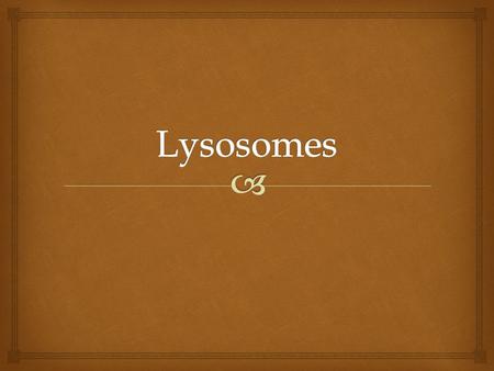 Lysosomes They are membranous, vesicular organelles that are formed by Golgi apparatus and are then dispersed through out the cytoplasm of the cell. They.