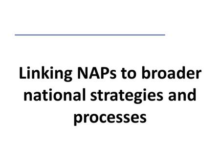 Linking NAPs to broader national strategies and processes.