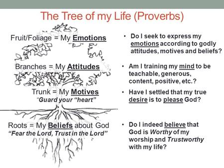 Roots = My Beliefs about God “Fear the Lord, Trust in the Lord” Trunk = My Motives “Guard your “heart” Branches = My Attitudes Fruit/Foliage = My Emotions.