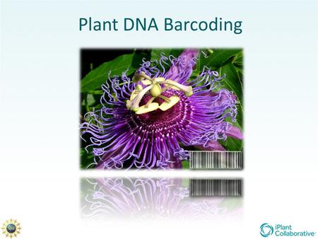 Plant DNA Barcoding.