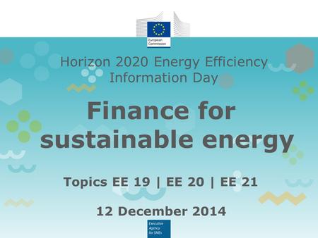 Horizon 2020 Energy Efficiency Information Day Finance for sustainable energy Topics EE 19 | EE 20 | EE 21 12 December 2014.