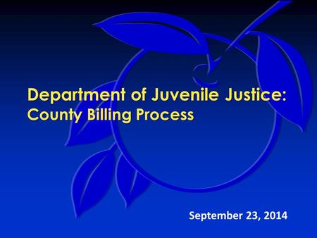 Department of Juvenile Justice: County Billing Process September 23, 2014.