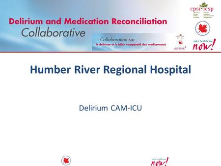 Humber River Regional Hospital Delirium CAM-ICU. 2 Background Humber River Regional Hospital is one of Canada’s largest regional acute care hospitals.