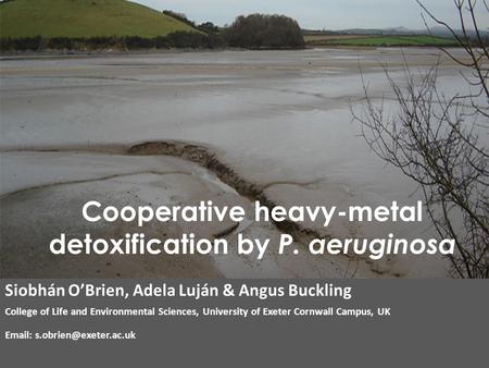 Siobhán O’Brien, Adela Luján & Angus Buckling College of Life and Environmental Sciences, University of Exeter Cornwall Campus, UK