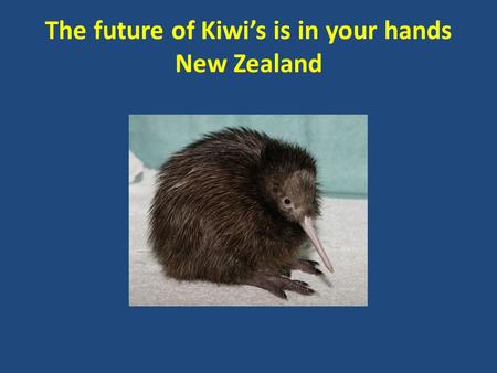The future of Kiwi’s is in your hands New Zealand.