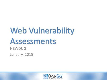 Web Vulnerability Assessments