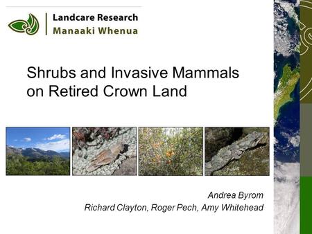 Shrubs and Invasive Mammals on Retired Crown Land Andrea Byrom Richard Clayton, Roger Pech, Amy Whitehead.