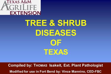 TREE & SHRUB DISEASES OF TEXAS Compiled by: T HOMAS Isakeit, Ext. Plant Pathologist Modified for use in Fort Bend by: Vince Mannino, CED-FBC.