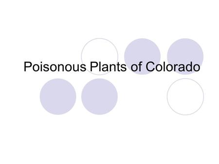 Poisonous Plants of Colorado. Signs of Plant Poisoning Sudden death Transitory illness = lasts only a short time General body weakness Disturbance of.