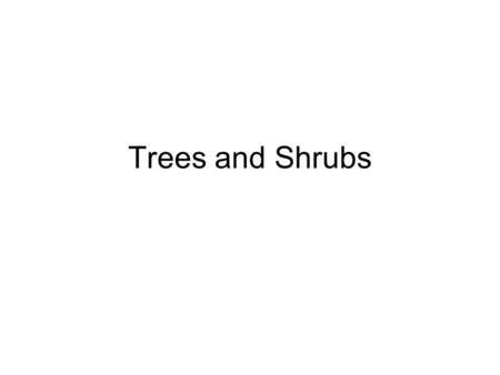 Trees and Woody Shrubs By Brad Parkinson Trees and Shrubs.