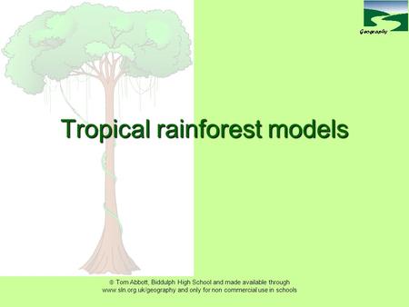  Tom Abbott, Biddulph High School and made available through www.sln.org.uk/geography and only for non commercial use in schools Tropical rainforest models.