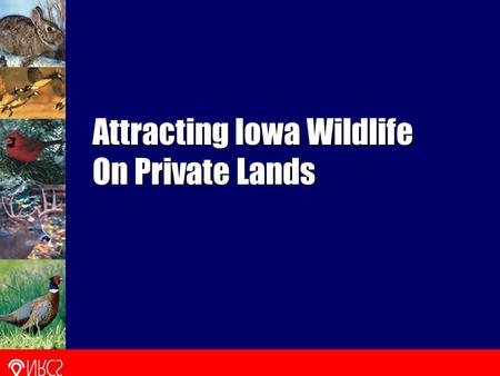 Attracting Iowa Wildlife On Private Lands. Iowa Wildlife Needs 98 percent of Iowa is privately owned. Wildlife depend on private landowners for habitat.