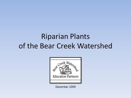 Riparian Plants of the Bear Creek Watershed December 2009.