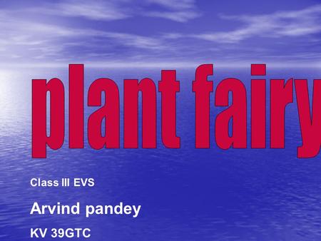 Plant fairy Class III EVS Arvind pandey KV 39GTC.