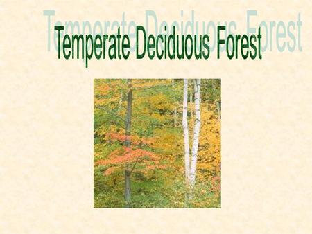 Average 50ºF 75 to 126 cm (30 to 50 in) Four Seasons: Winter, Spring, Summer, Fall Forest Fire, Sunlight.