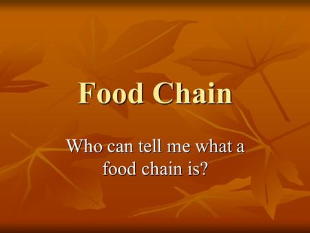 Who can tell me what a food chain is?